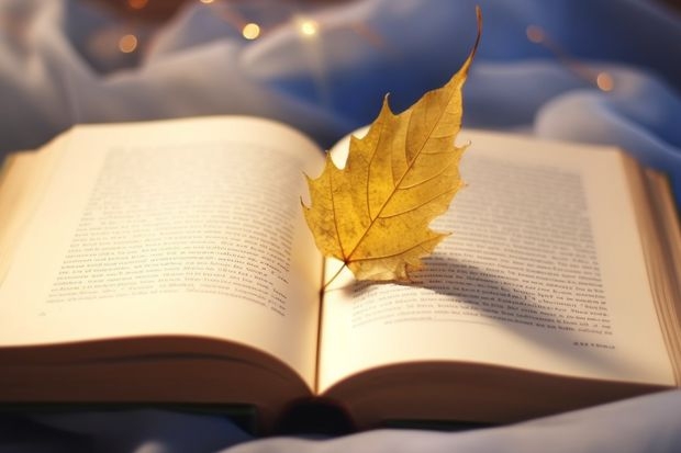 本科是二本的，有可能当上大学教师或导员吗？