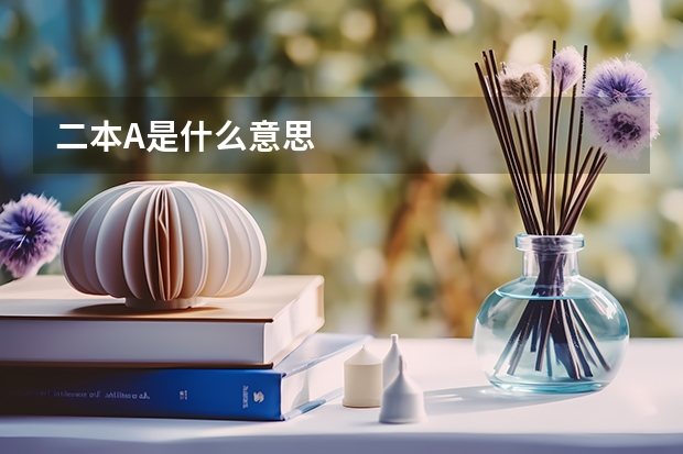 二本A是什么意思