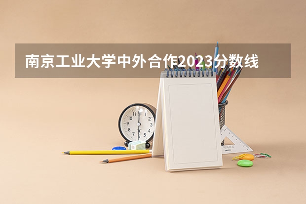 南京工业大学中外合作2023分数线是多少？