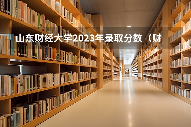 山东财经大学2023年录取分数（财经大学分数线）