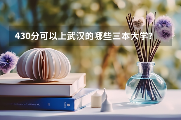 430分可以上武汉的哪些三本大学？