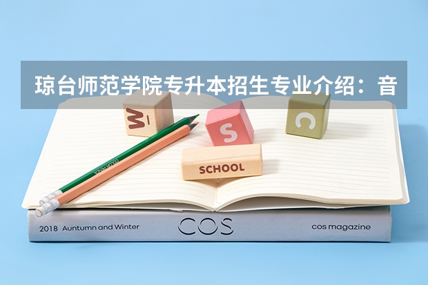 琼台师范学院专升本招生专业介绍：音乐表演？（四川文化艺术学院（四川）招生简章）