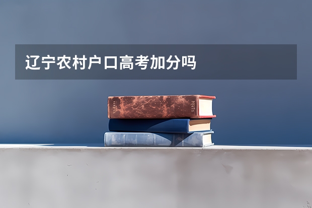 辽宁农村户口高考加分吗