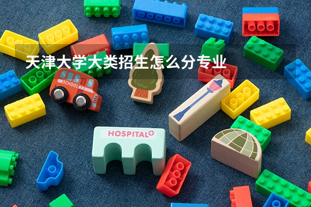 天津大学大类招生怎么分专业