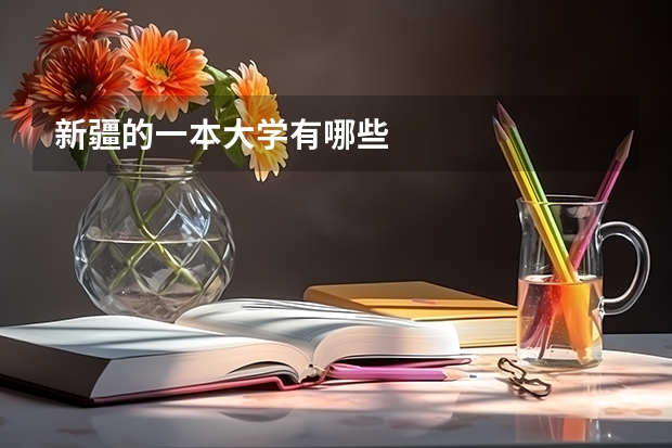 新疆的一本大学有哪些