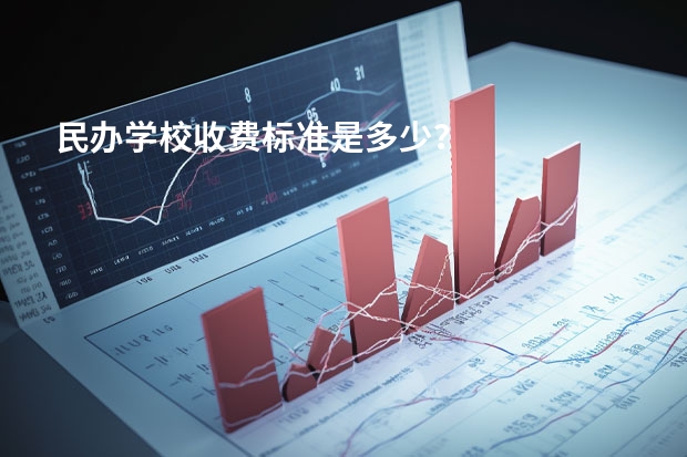 民办学校收费标准是多少？