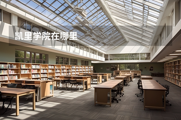 凯里学院在哪里