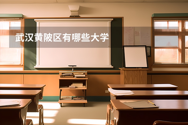 武汉黄陂区有哪些大学