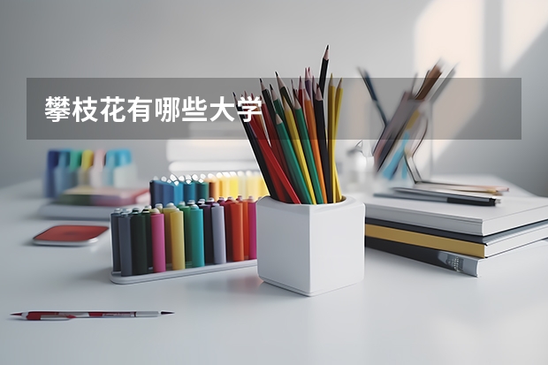 攀枝花有哪些大学