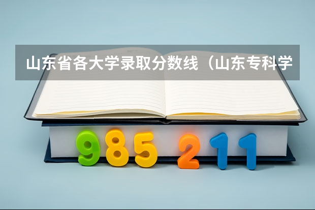 山东省各大学录取分数线（山东专科学校排名公办分数线）