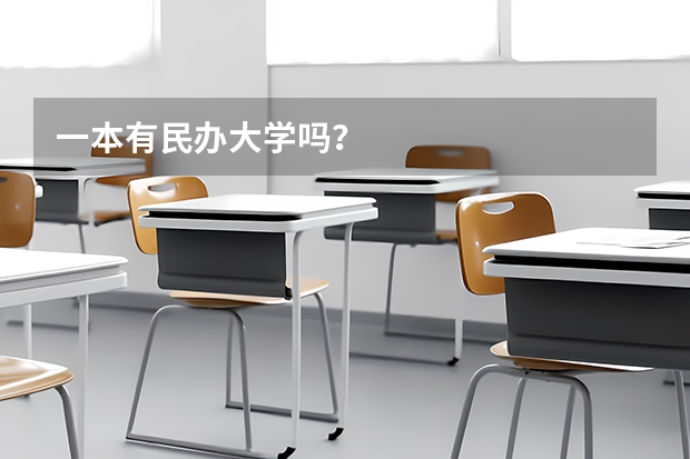 一本有民办大学吗？