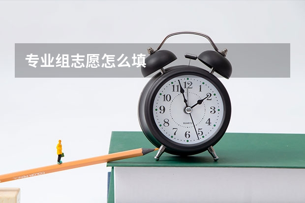 专业组志愿怎么填