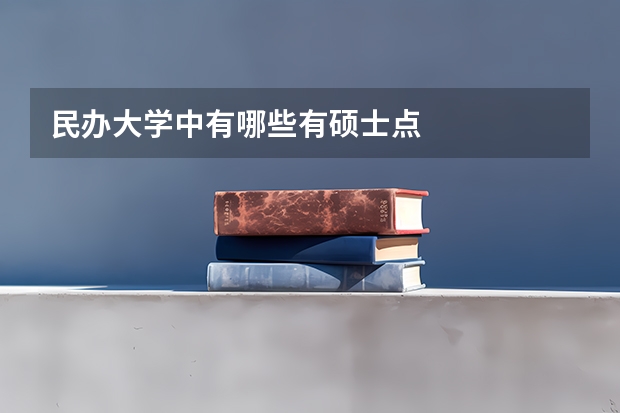 民办大学中有哪些有硕士点