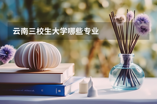 云南三校生大学哪些专业