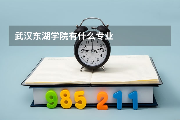 武汉东湖学院有什么专业