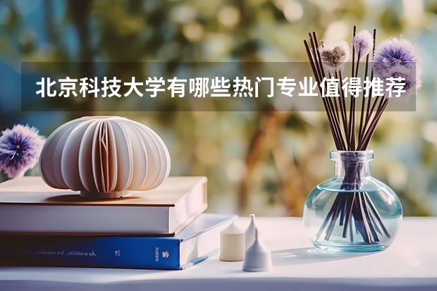 北京科技大学有哪些热门专业值得推荐？