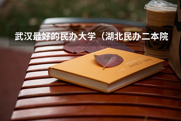 武汉最好的民办大学（湖北民办二本院校排名）