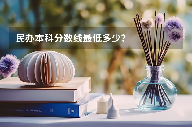 民办本科分数线最低多少？