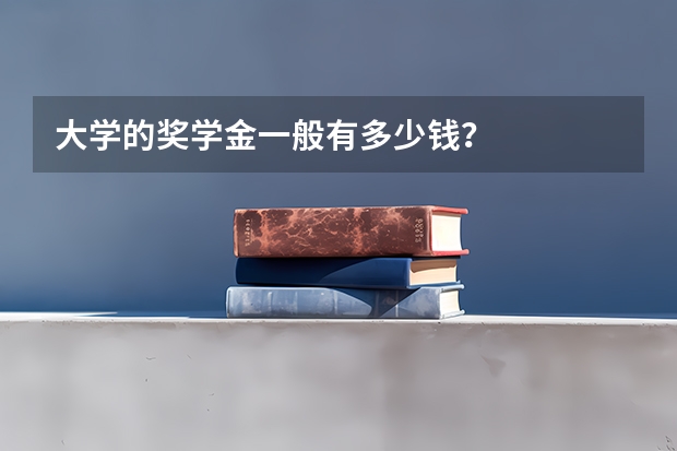 大学的奖学金一般有多少钱？