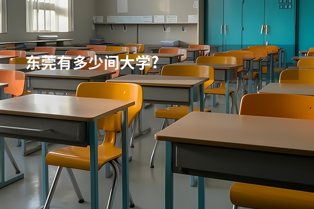 东莞有多少间大学?