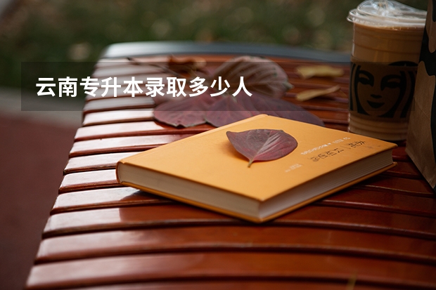 云南专升本录取多少人
