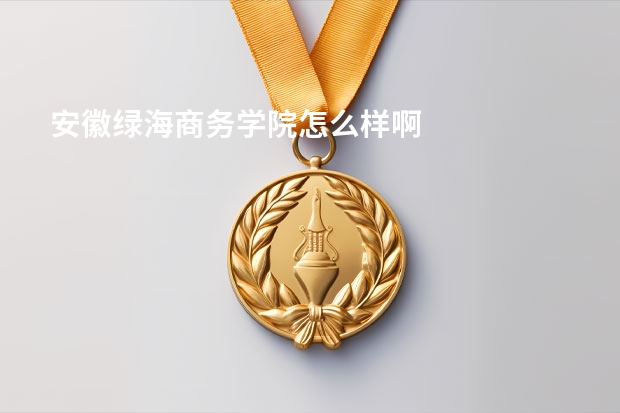 安徽绿海商务学院怎么样啊