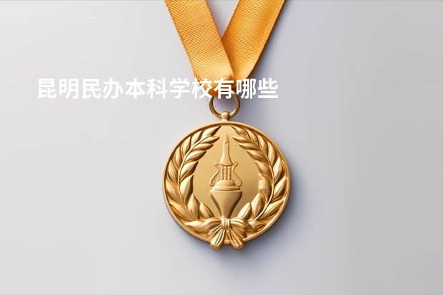昆明民办本科学校有哪些
