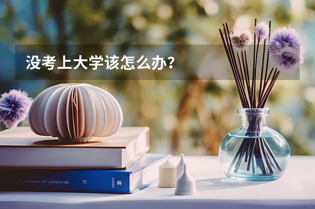 没考上大学该怎么办?