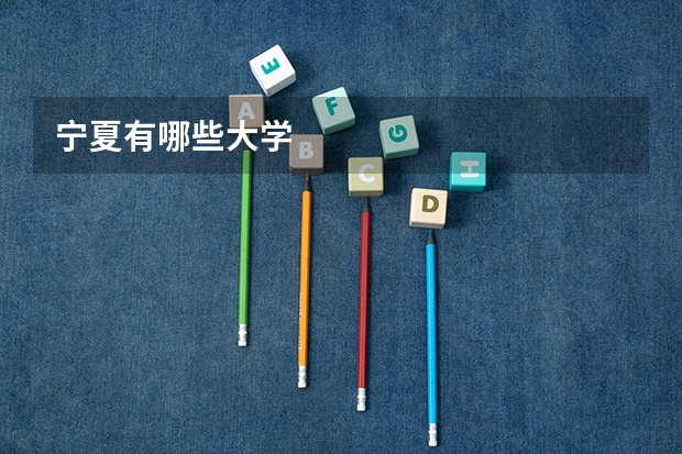 宁夏有哪些大学