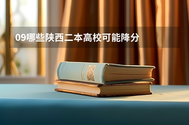 09哪些陕西二本高校可能降分