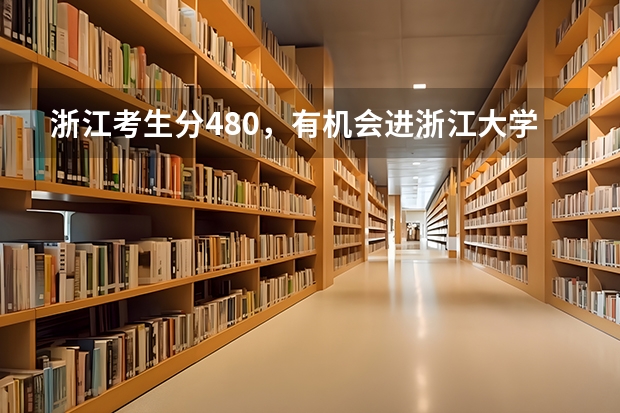 浙江考生分480，有机会进浙江大学城市学院/宁波理工吗？