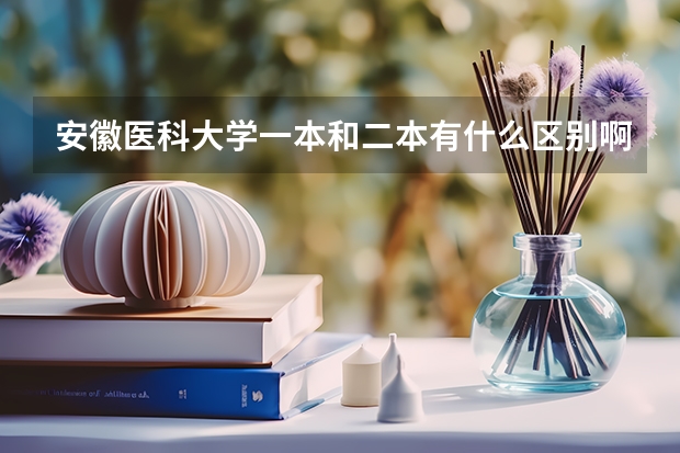 安徽医科大学一本和二本有什么区别啊？