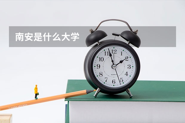 南安是什么大学