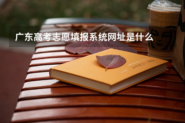 广东高考志愿填报系统网址是什么