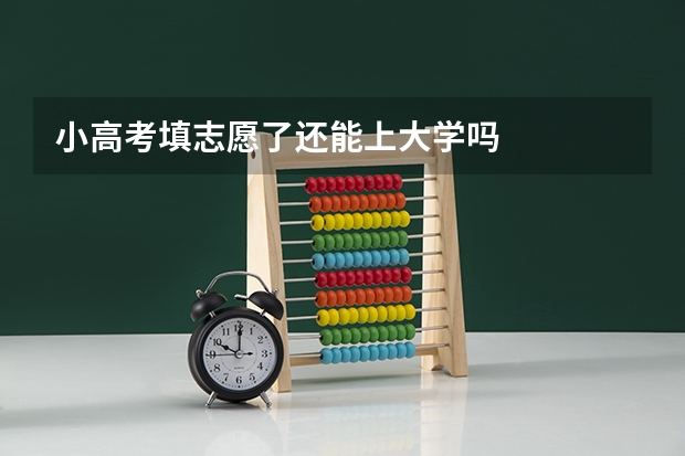 小高考填志愿了还能上大学吗