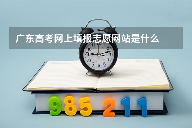 广东高考网上填报志愿网站是什么