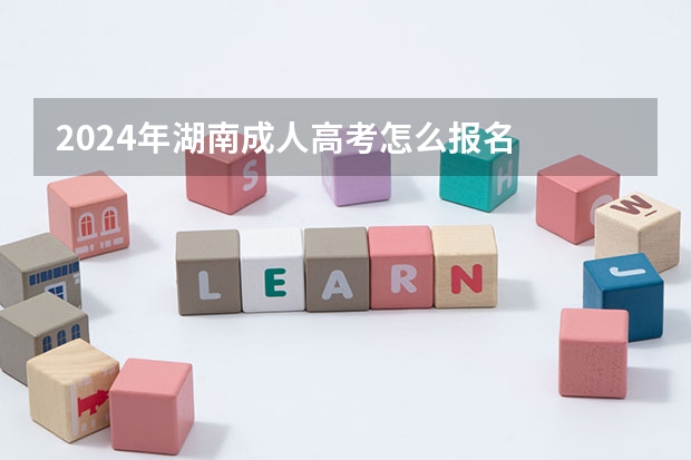 2024年湖南成人高考怎么报名