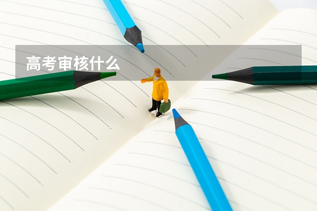 高考审核什么