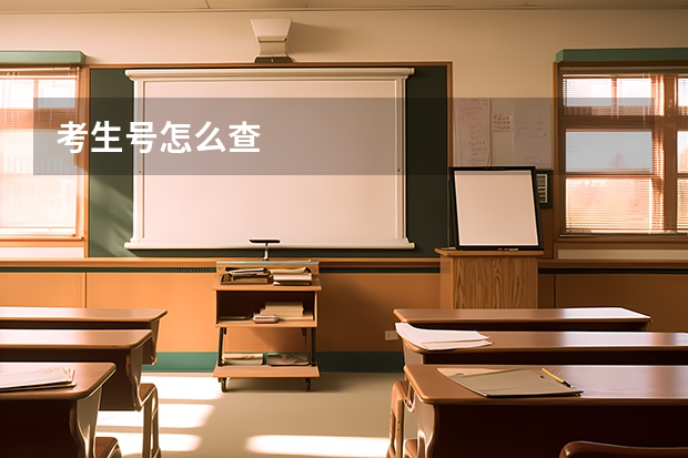 考生号怎么查