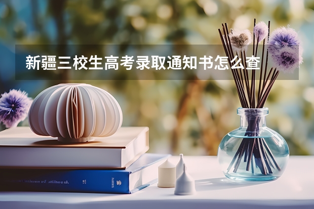 新疆三校生高考录取通知书怎么查