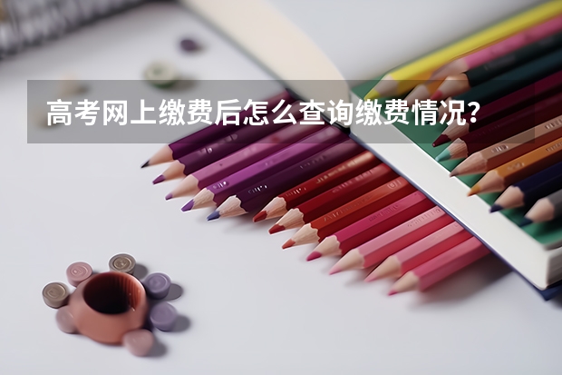 高考网上缴费后怎么查询缴费情况？