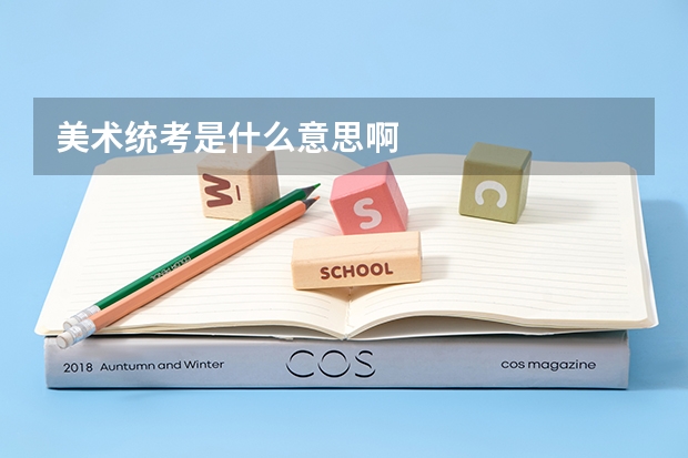 美术统考是什么意思啊