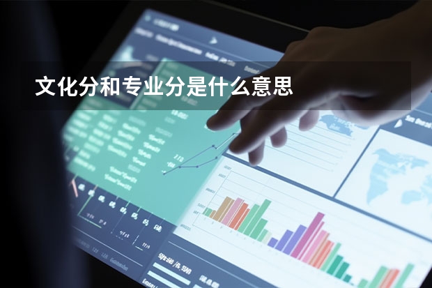 文化分和专业分是什么意思