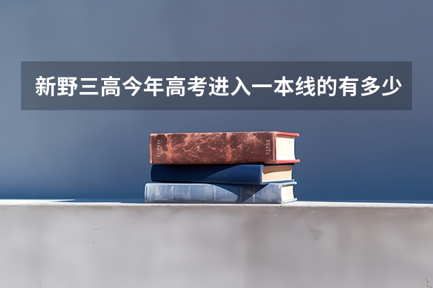 新野三高今年高考进入一本线的有多少人