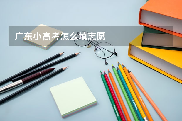 广东小高考怎么填志愿