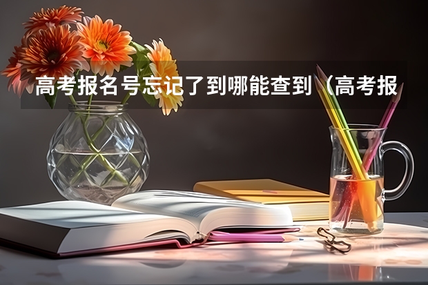 高考报名号忘记了到哪能查到（高考报名号查询系统入口？）