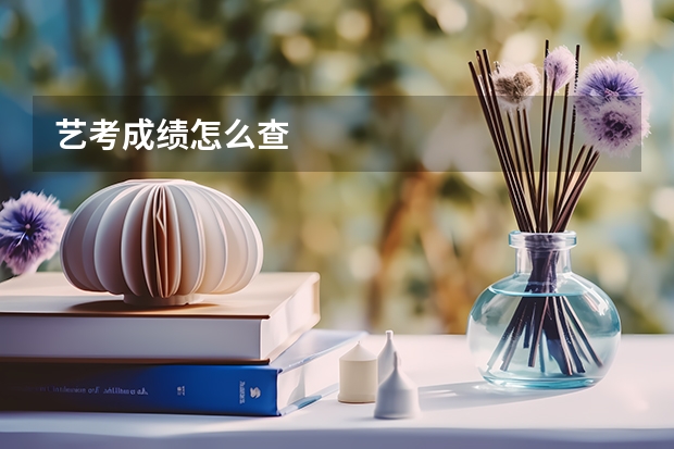 艺考成绩怎么查