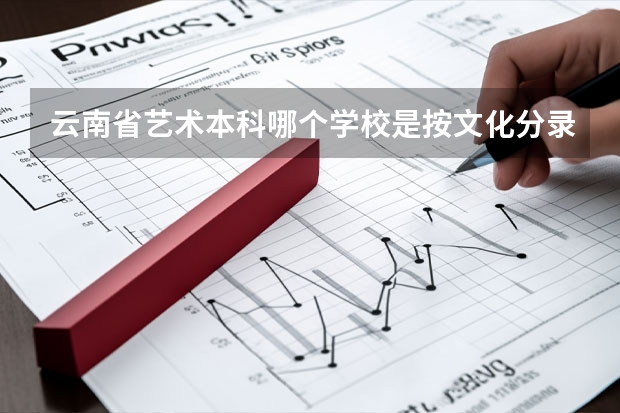 云南省艺术本科哪个学校是按文化分录取的