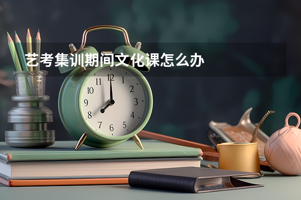 艺考集训期间文化课怎么办