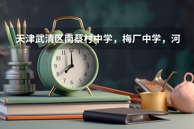 天津武清区南蔡村中学，梅厂中学，河西务中学，英华普通班哪个教学质量更好一些